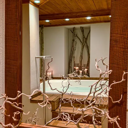 酒店 Breithorn 尚波吕克